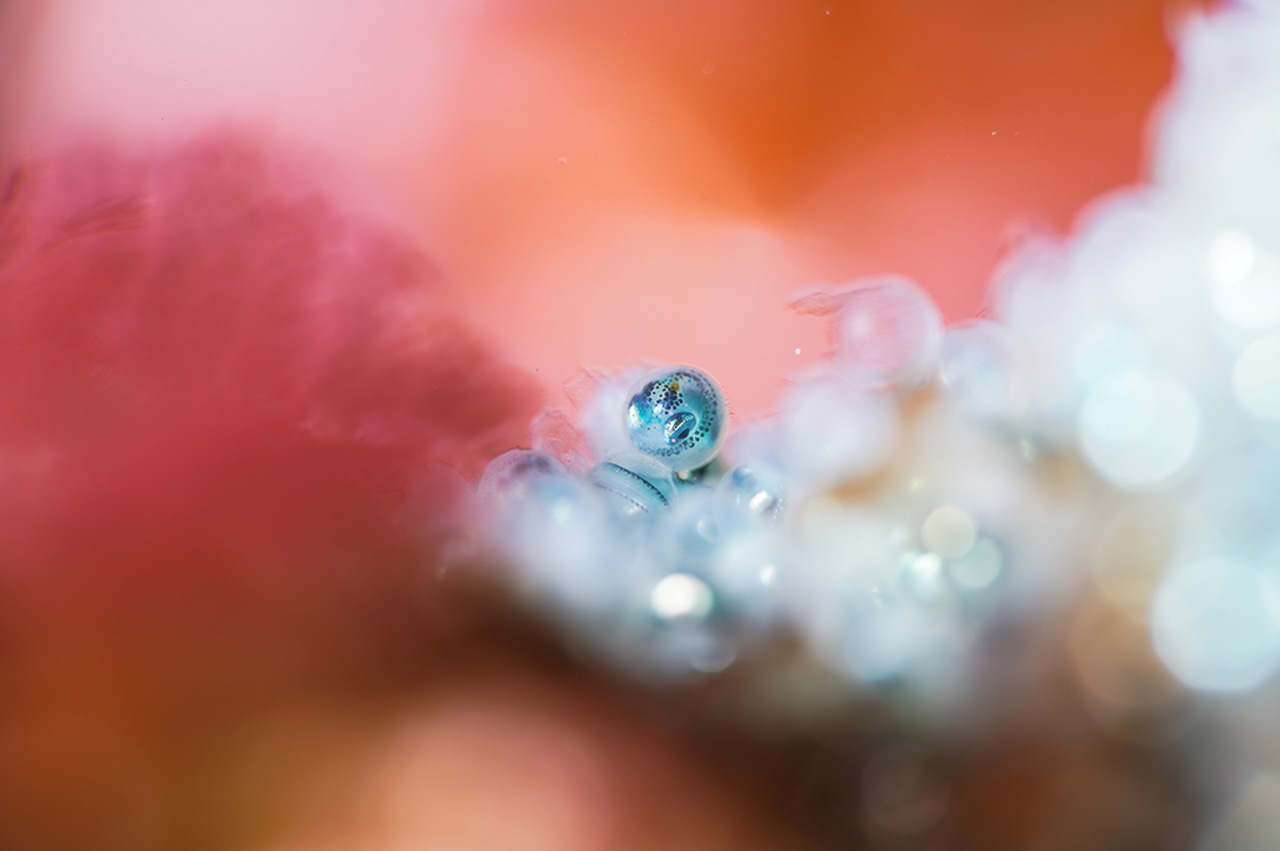 260310_tamron_photocon2025_02yiiTEtq6