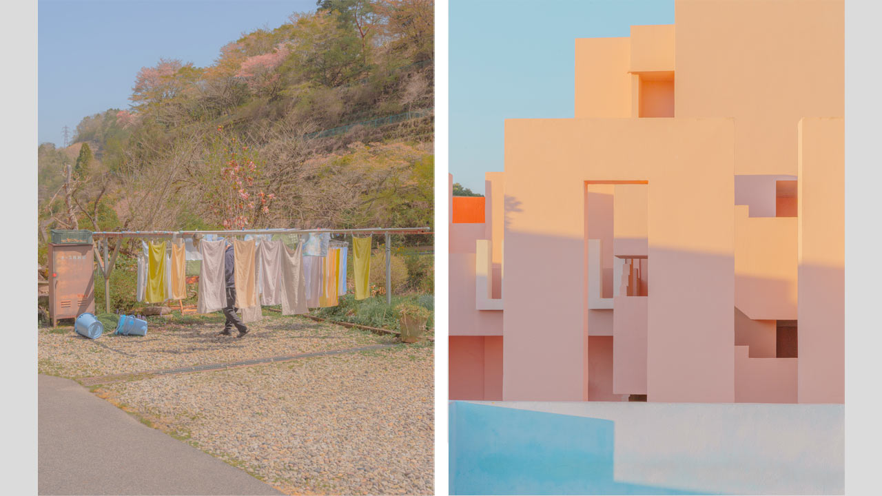 テレサ・フレイタス氏の色彩豊かな作品