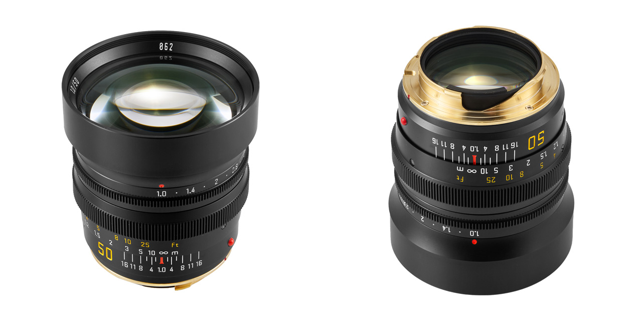 260319_NyctaLux50mm_02adGrpRkp