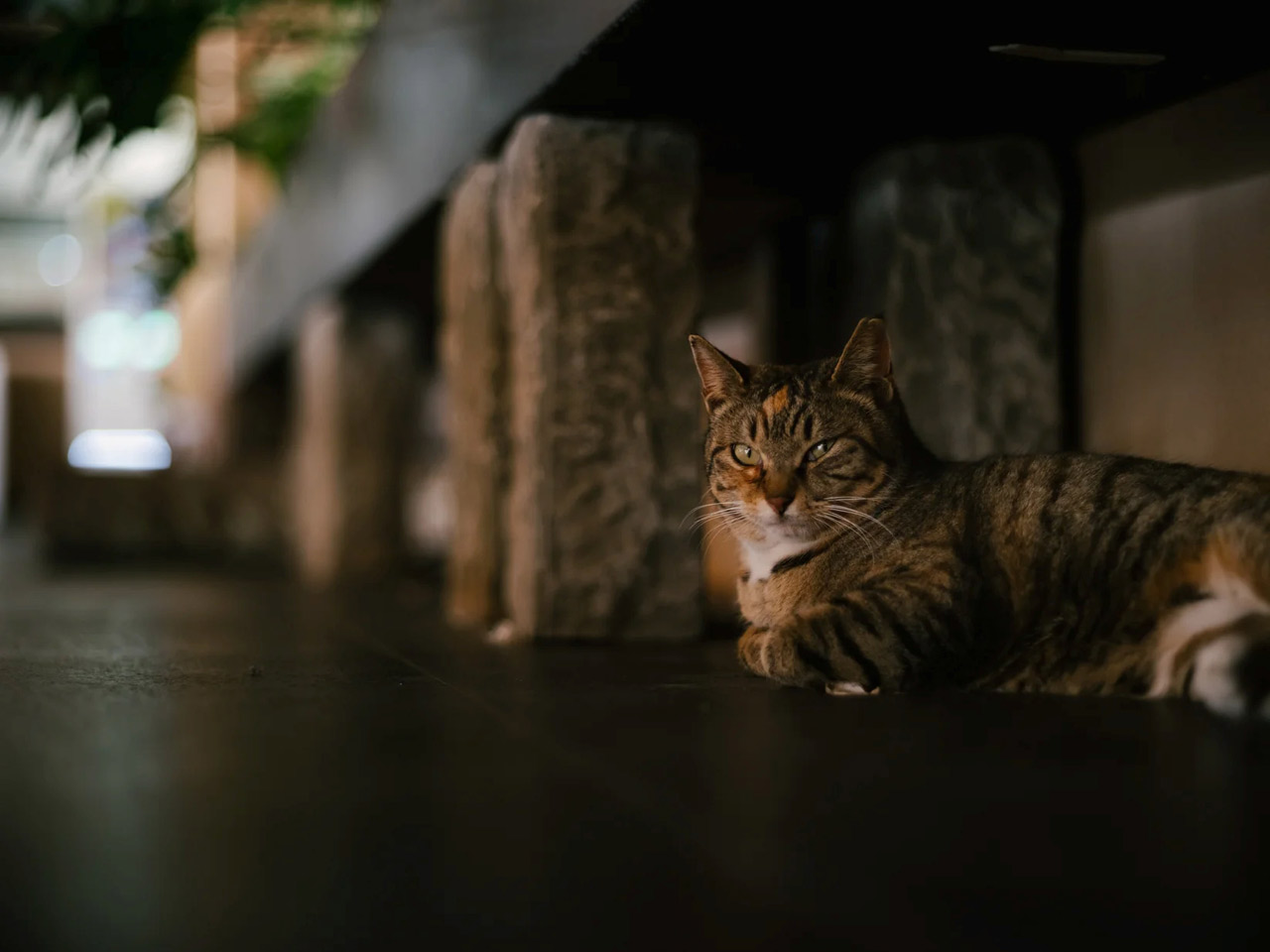 260327_LIGHT-LENS-LAB_SPII_06DbjhlpbE