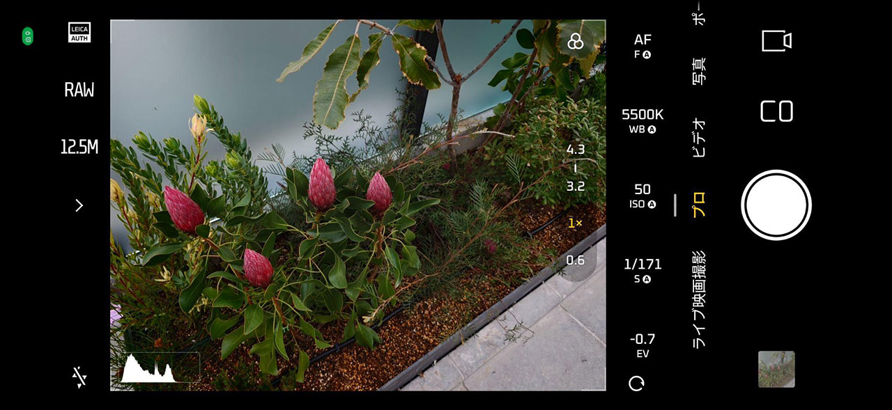 Xiaomi 17 Ultraで撮影された作例