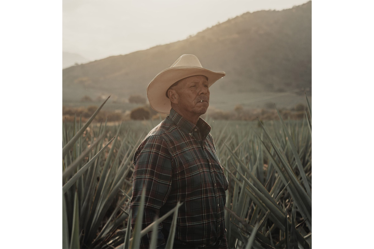 260401_Goldstache-Filter_02TOTt72ce