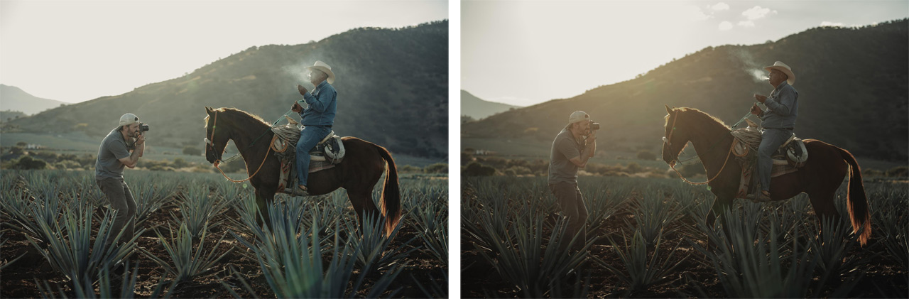 260401_Goldstache-Filter_03MwCcAHak