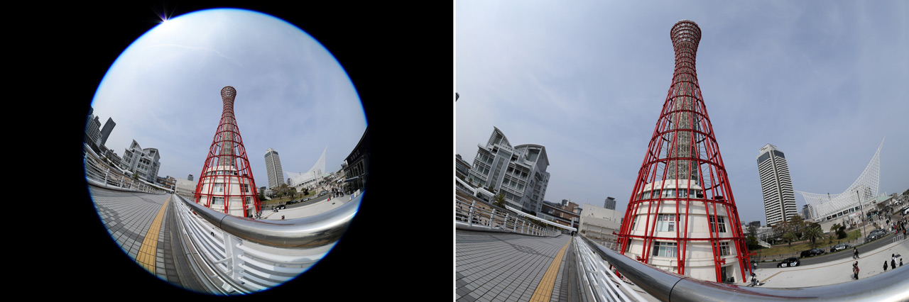 260403_Review_FISHEYE-STM_08