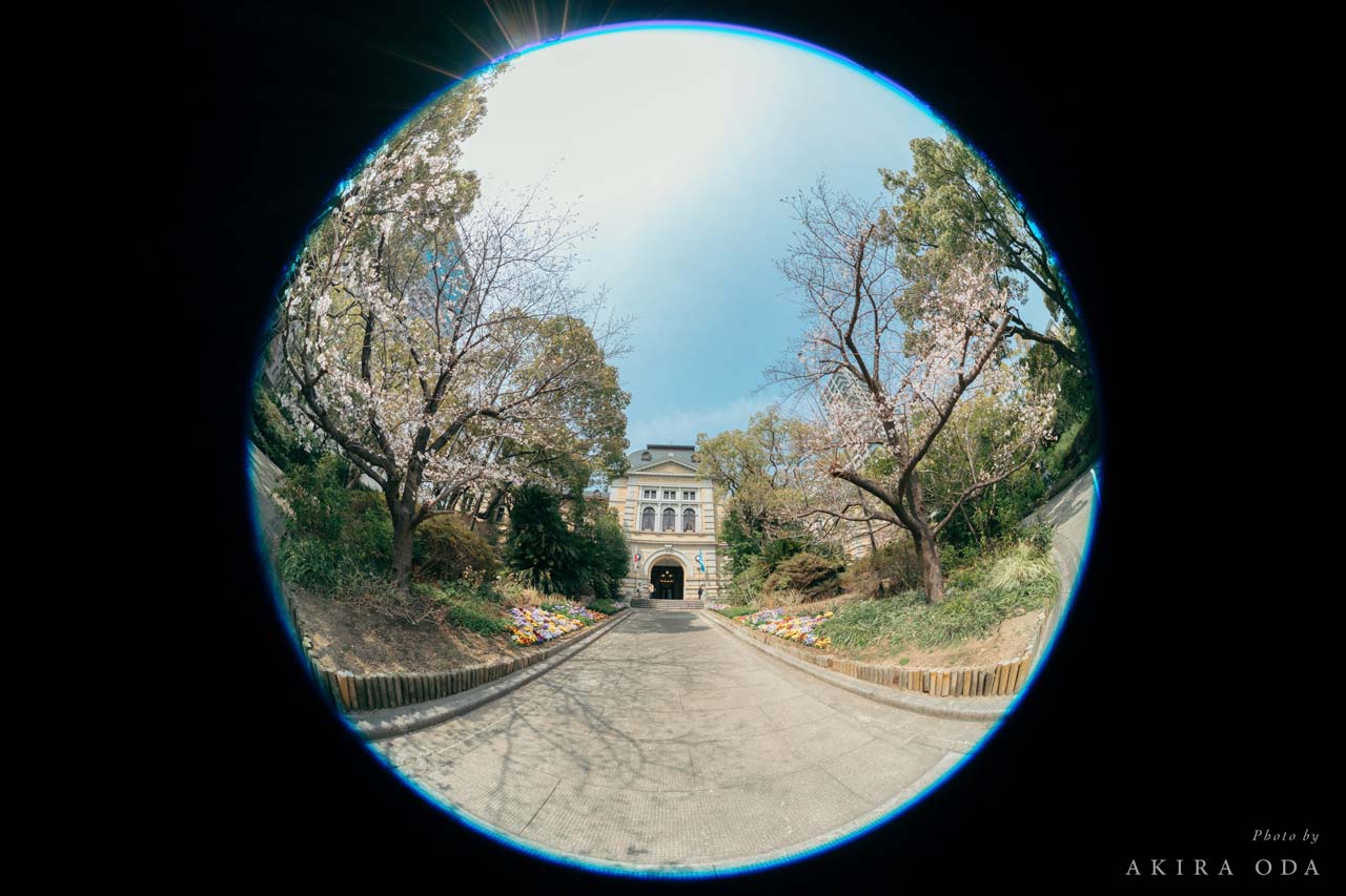 260403_Review_FISHEYE-STM_09