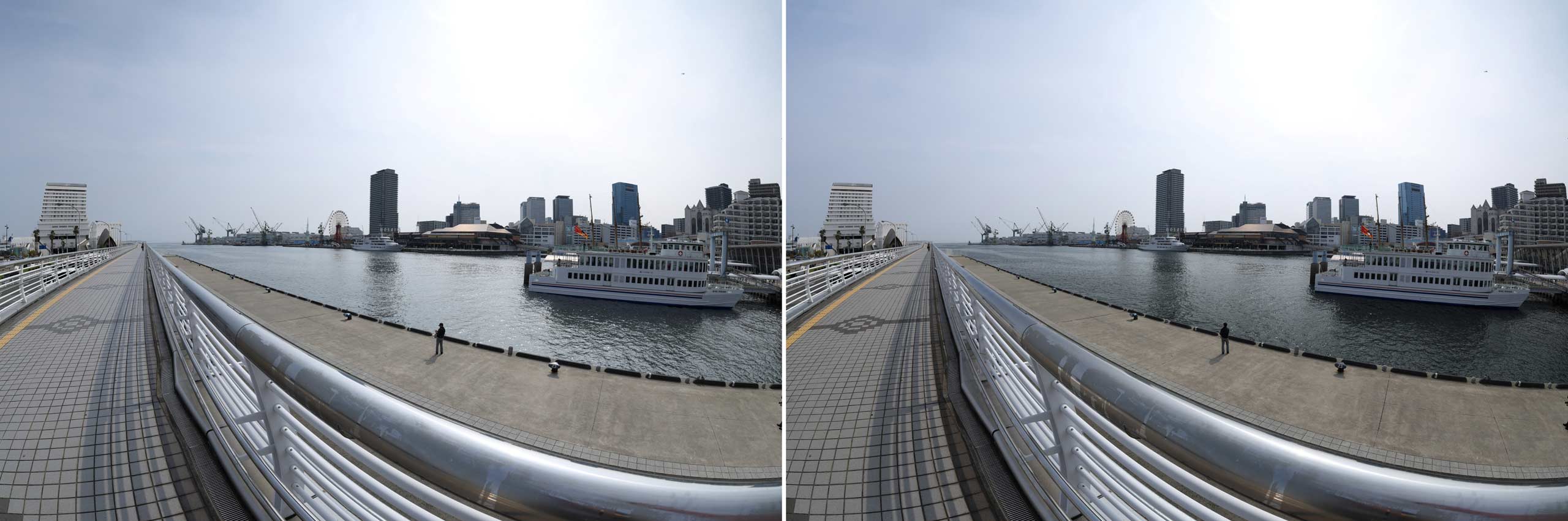 260403_Review_FISHEYE-STM_21