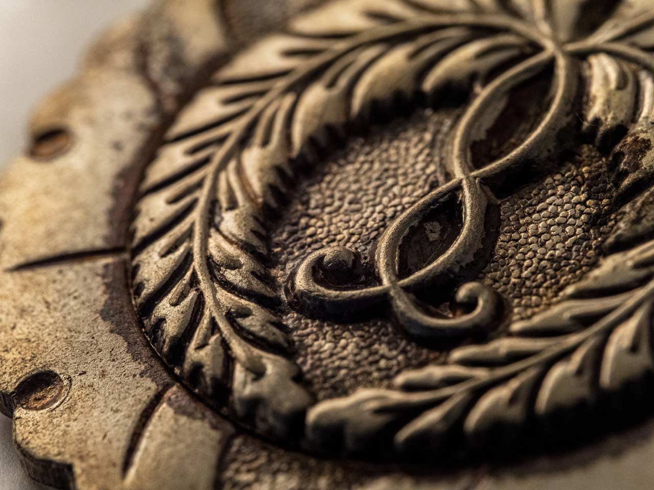 260407_LAOWA90mmF2_02NtD3lovP