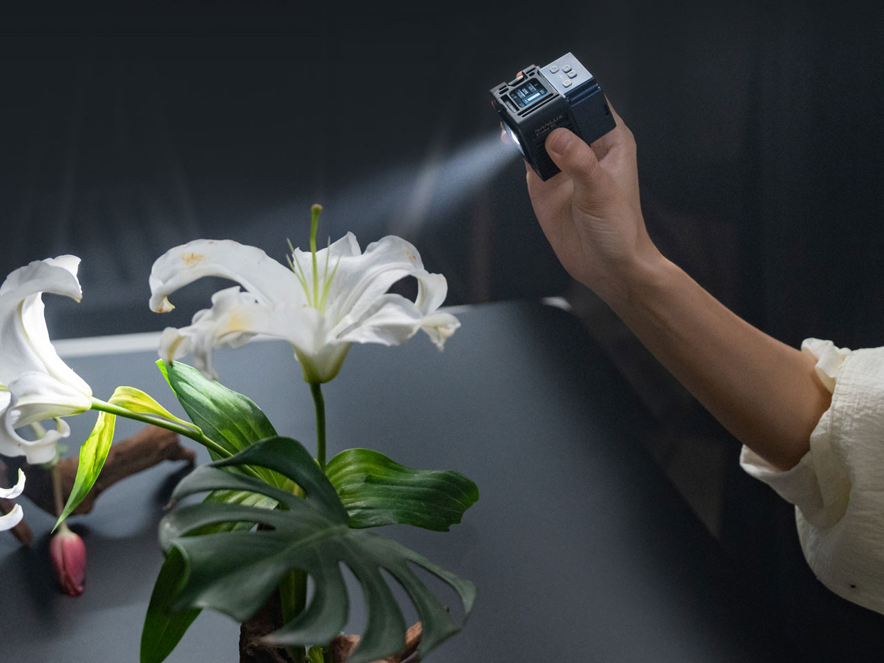 260417_Evolle5c_01EAgHylk3