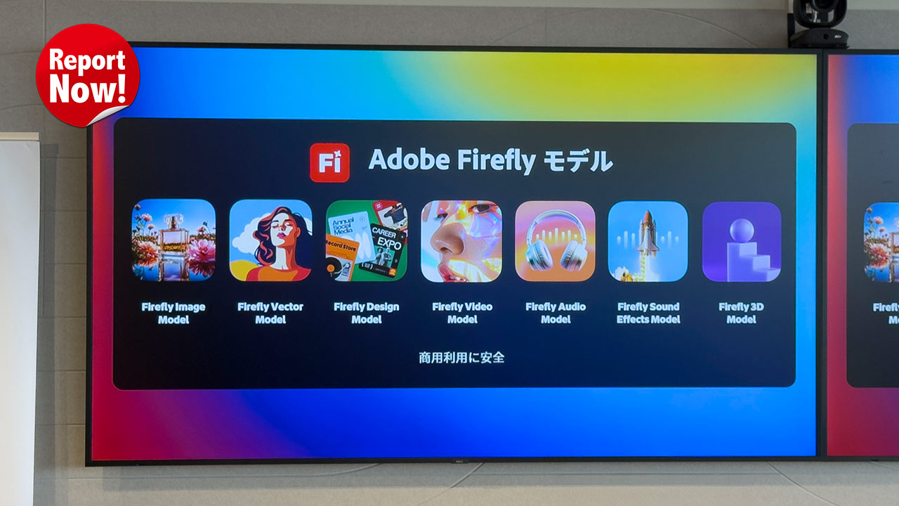 Fireflyを中核に据えた3つのモデル戦略の図