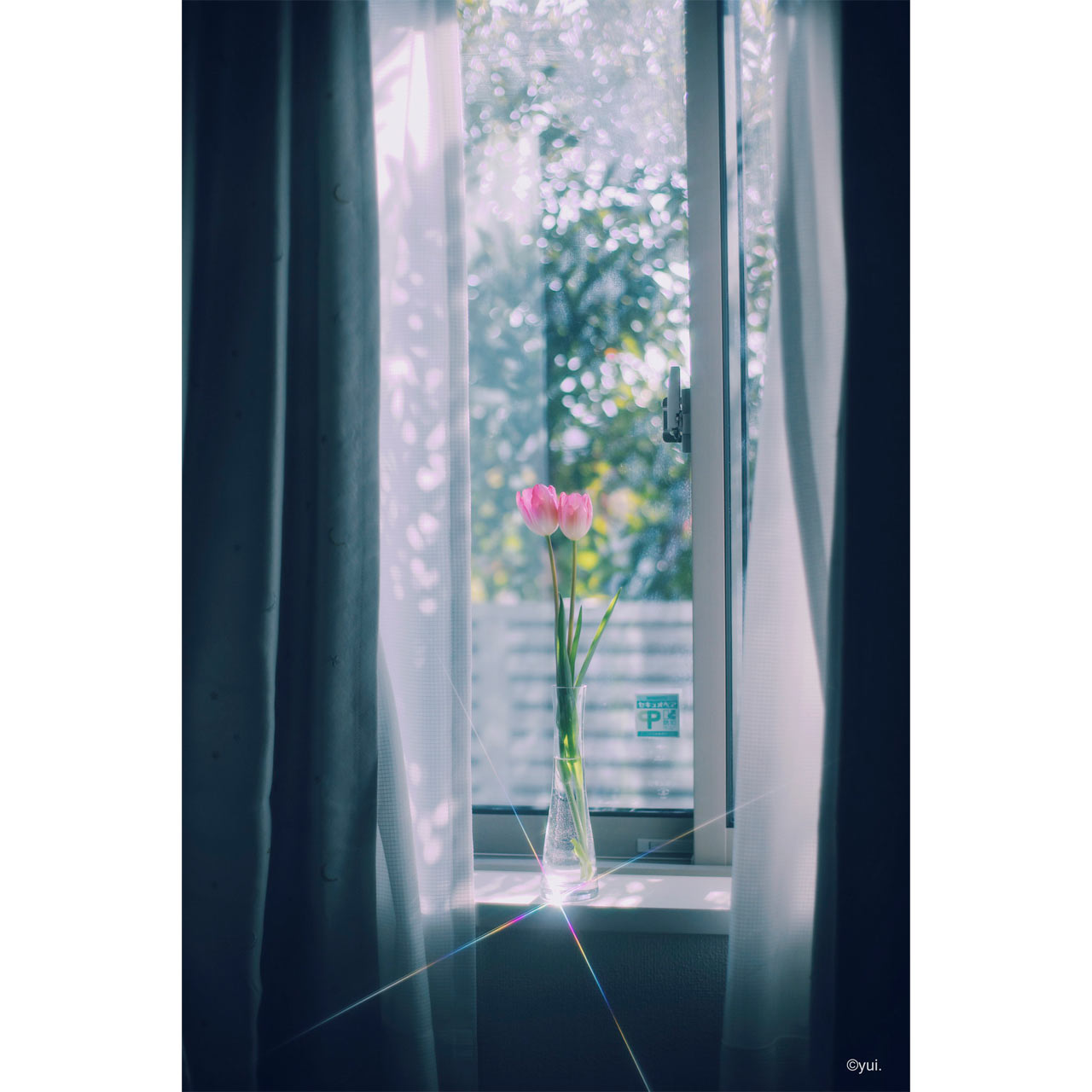 260522_PRO1D-Lotus_04G5GnbsQG