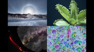 第9回サイエンスフォトコンテスト開催。顕微鏡から夜空まで「身近な科学」を募集