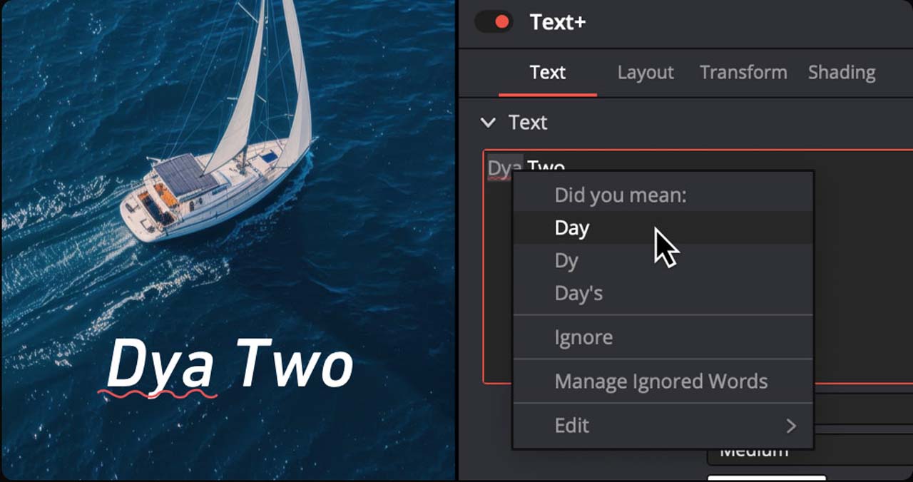 DaVinciResolve21_23R4VxWnIF