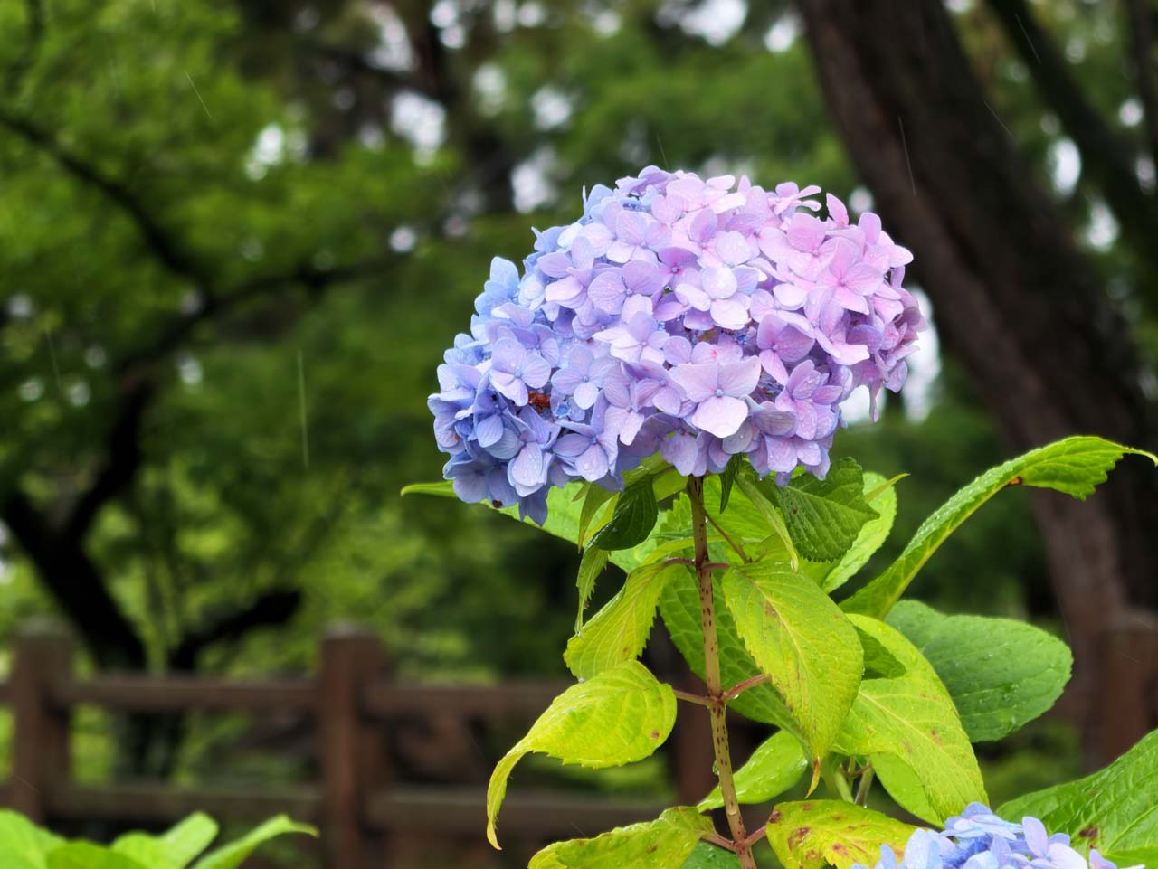 Review_Insta360LunaUltra_05