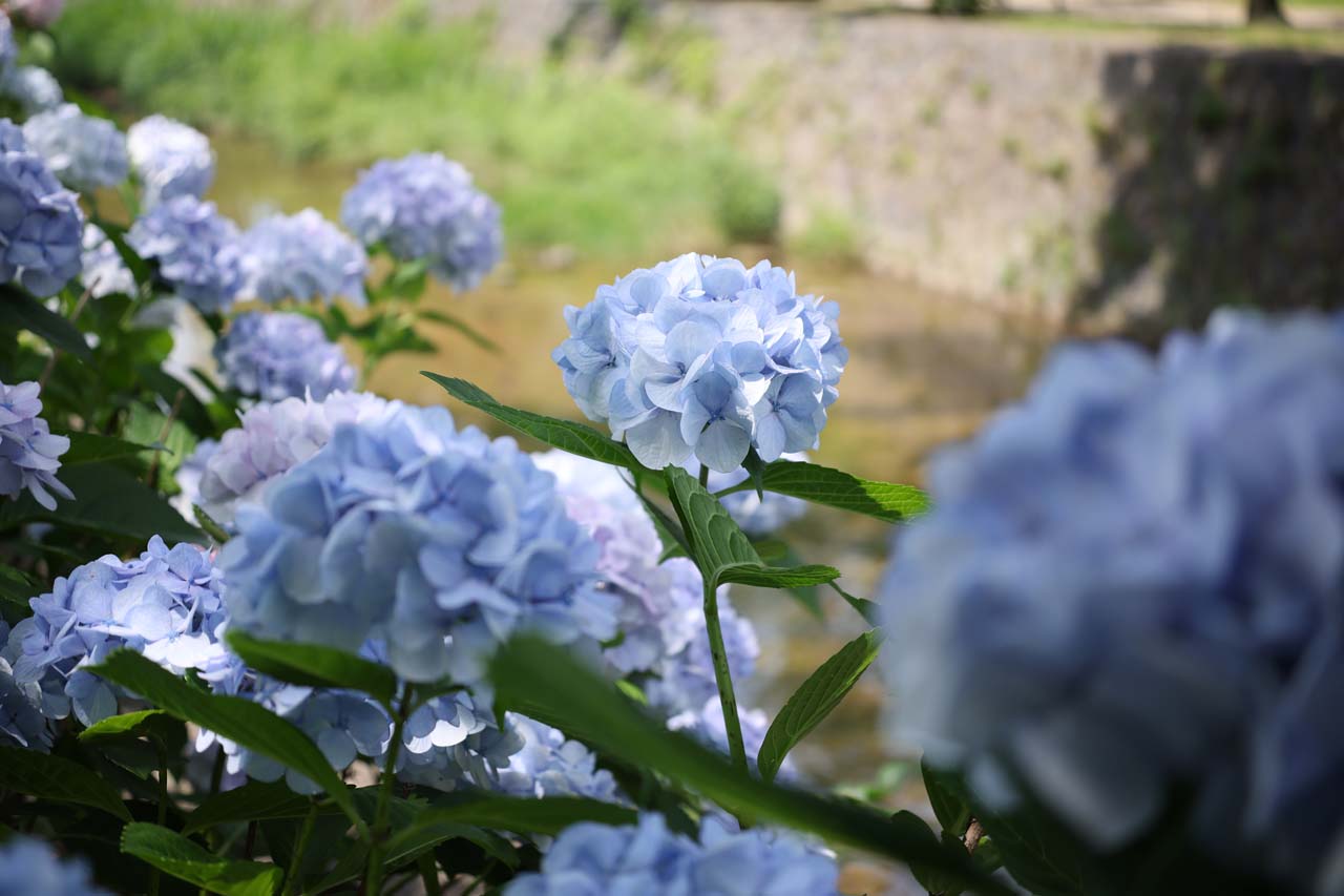 Review_RF20-50F4L-IS-USM-PZ_11