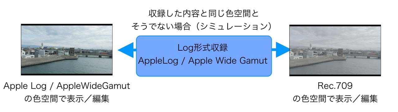 takanoUpdate_01_004WN7nBNPg