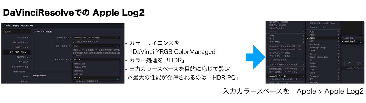 takanoUpdate_01_010UjtV6N2S