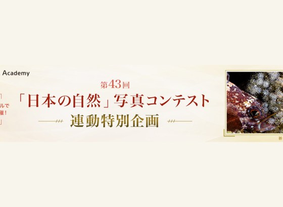 ソニー、「日本の自然」写真コンテスト連動イベント開催。展示やプロから直接アドバイスがもらえる個別講評など