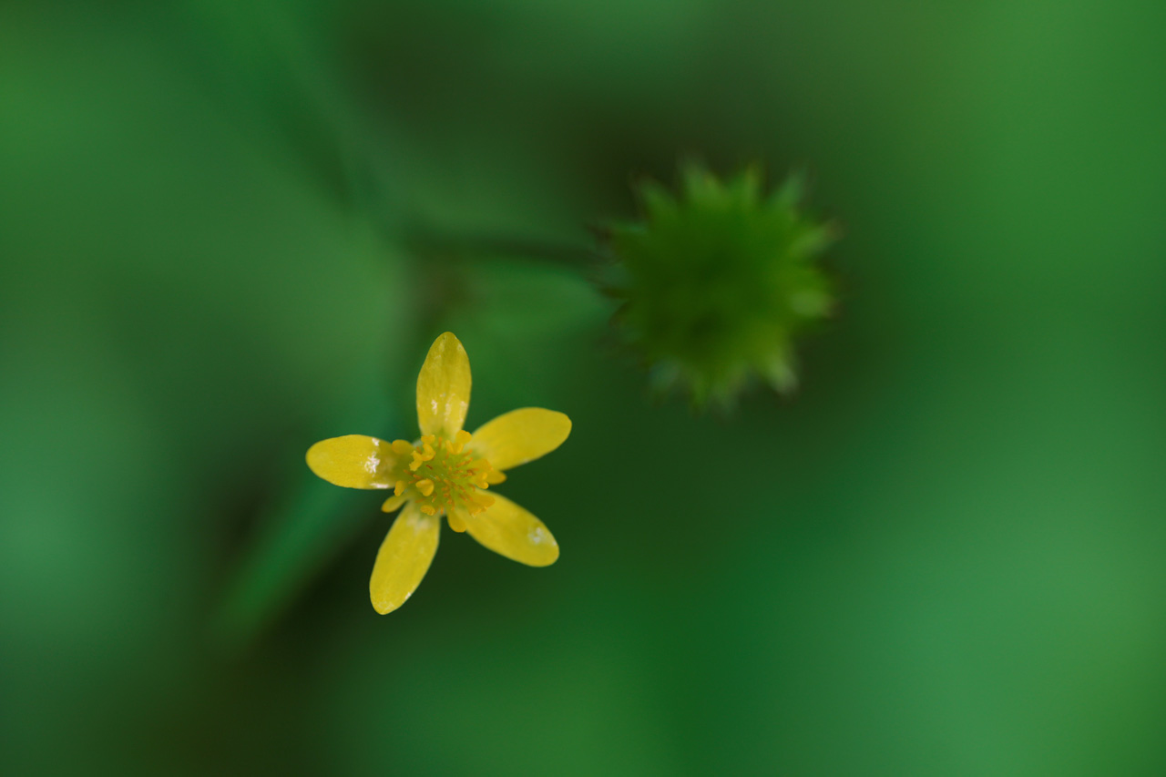 260721_TAMRON_01FgEC6Gs8