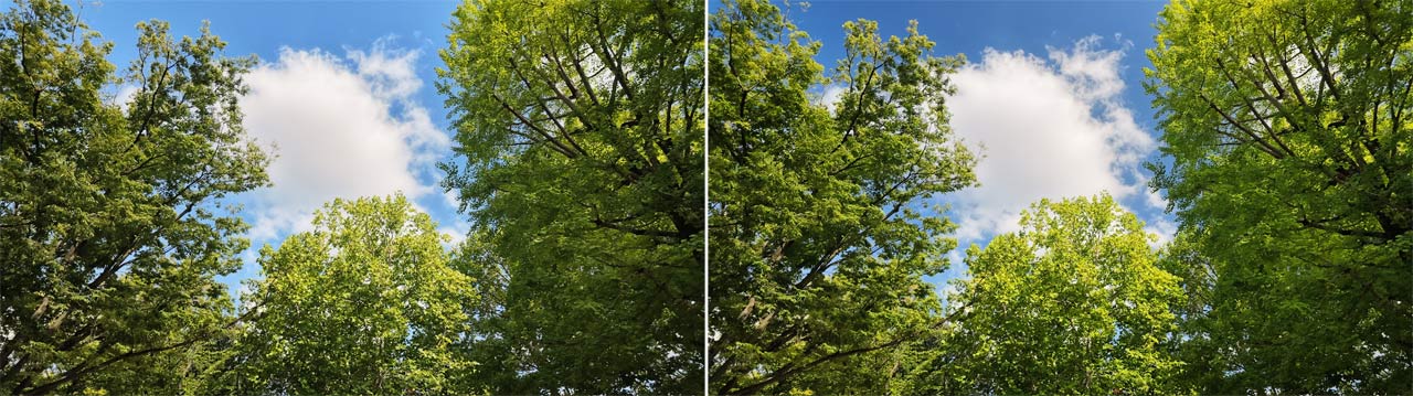 260825_OsmoPocket_Filter-Widelense_01WDCPWjBu