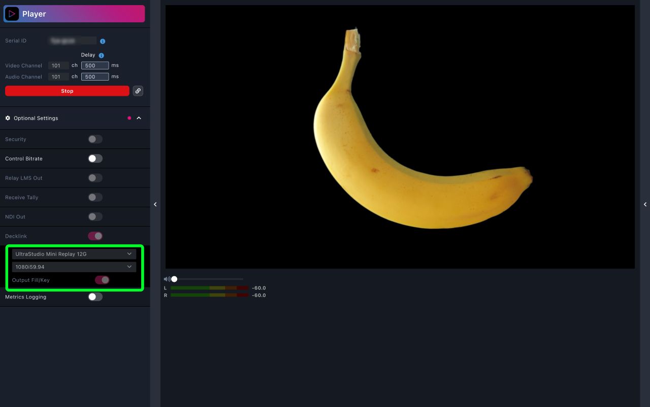 テキスト