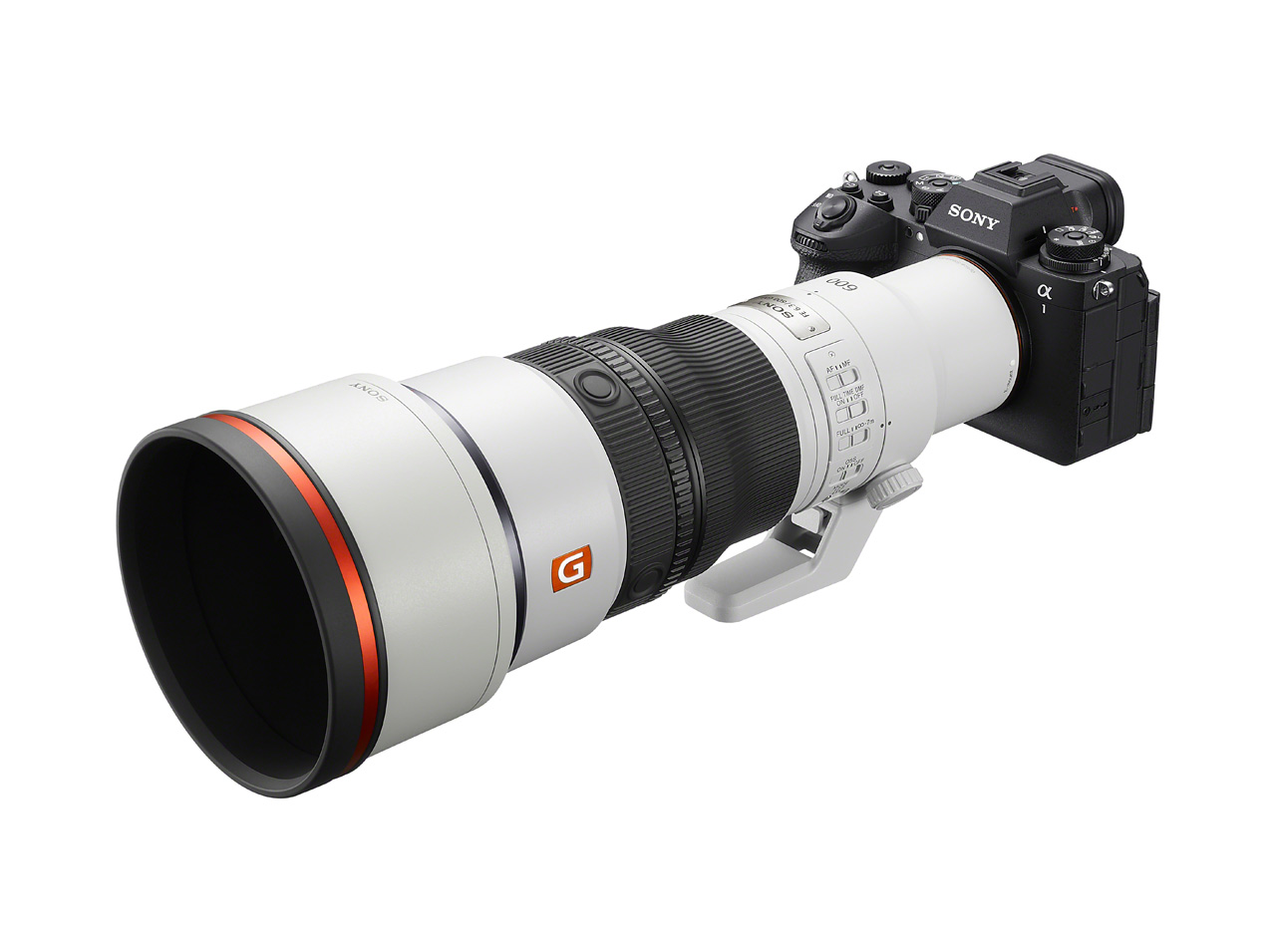 SONY_FE400-600_11qxW0PTTT