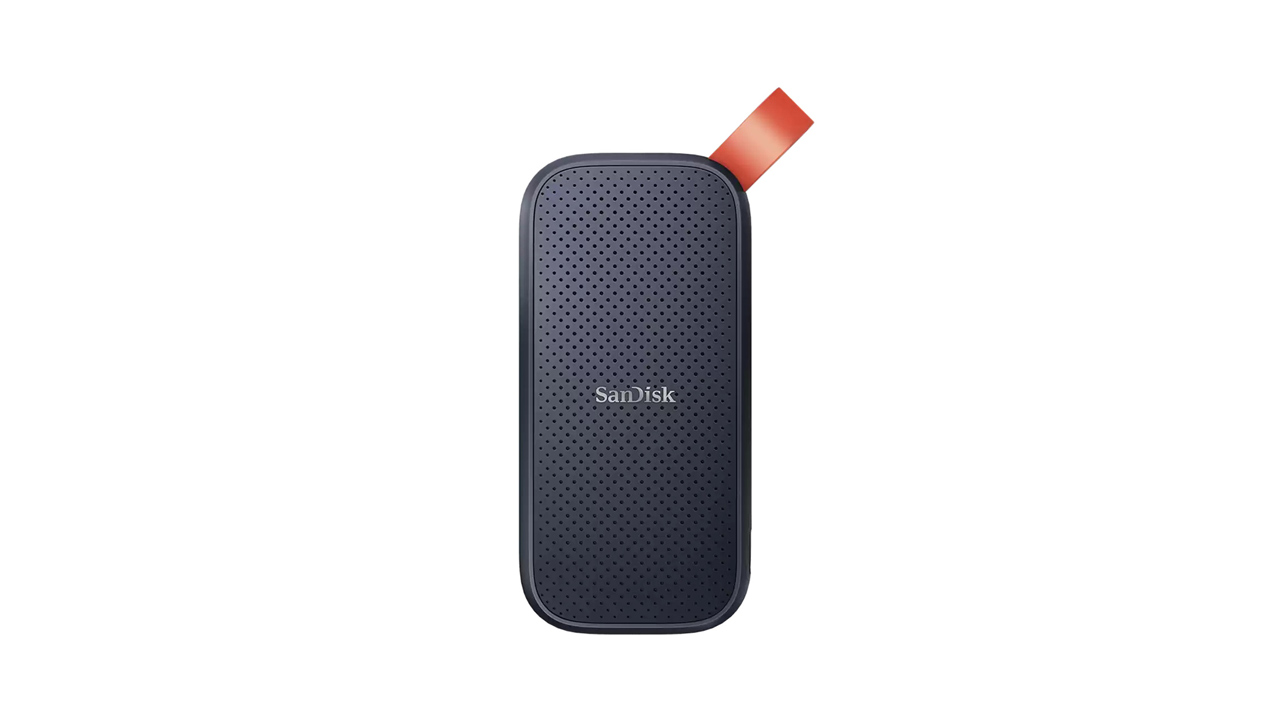 SANDISK Portable SSD